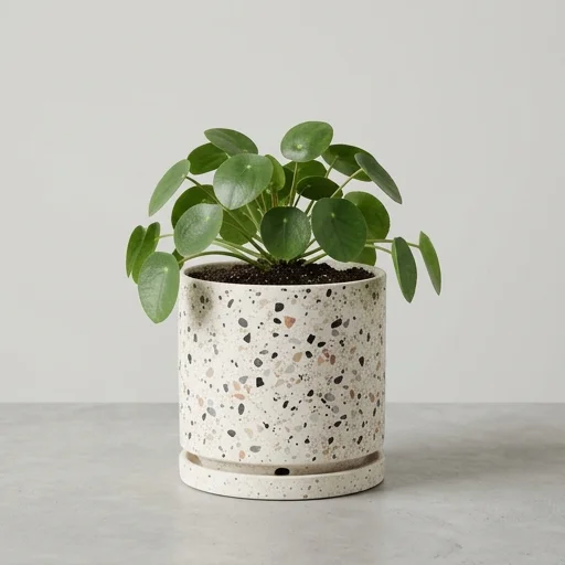 Umbra Terrazzo Style Planter